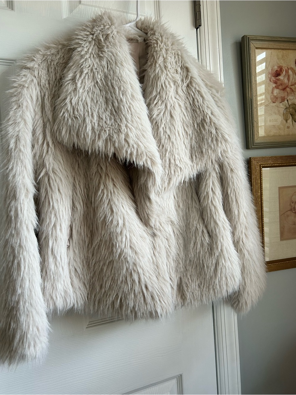 SHEIN Plush Faux Fur Teddy Jacket in Light Beige